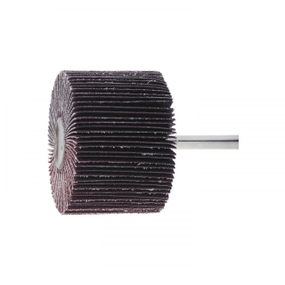 Brusný lamelový kotouč na stopce P80 60x30x6mm
